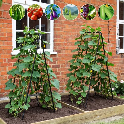 A-Frame Trellis for Climbing Plants Outdoor, 2 Pack Metal Garden Trellis