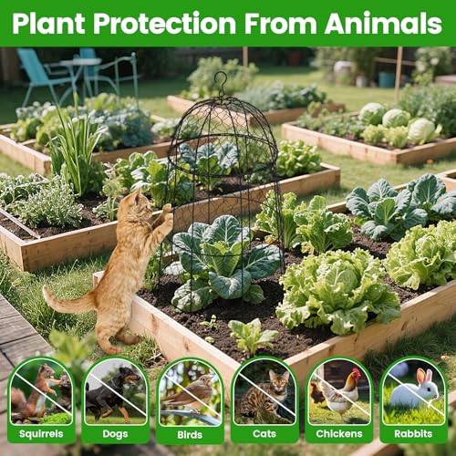 12Pcs garden cloche for plants,20×12.6in large size plant cages for outdoor plants,split design and anti-rust coated chicken wire cloche,sturdy and not easy to deform,plant cages to keep animals out - size: Set of 12 (20 inch high)