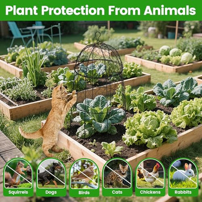 12Pcs garden cloche for plants,20×12.6in large size plant cages for outdoor plants,split design and anti-rust coated chicken wire cloche,sturdy and not easy to deform,plant cages to keep animals out - size: Set of 12 (20 inch high)