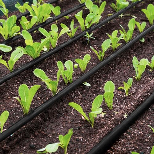 50 FT 1/2 Inch Drip Irrigation Tubing Kit-Drip Line Irrigation Hose 1/2 Inch with 1/2" to 1/4" Barbed Locked 6-Way & 1/2" Tee Connectors-Drip Tube Irrigation Fittings System Parts for Garden Watering