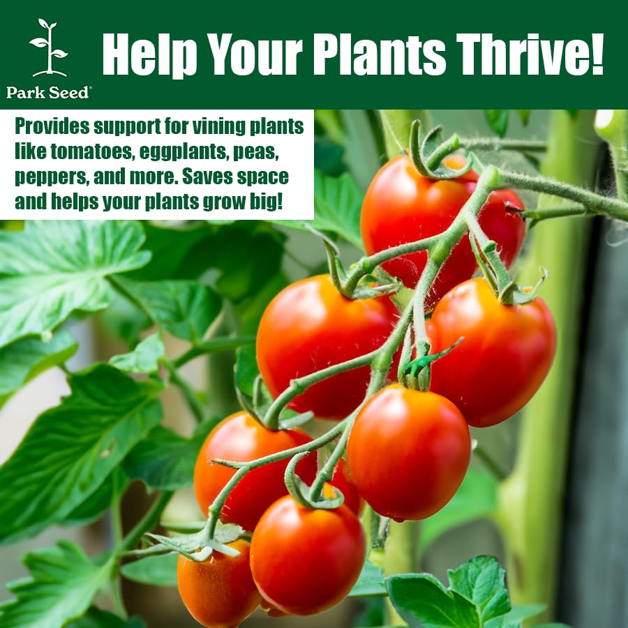 Park Seed Tomato Cages – 39" Tall Heavy-Duty Plant Supports for Tomatoes, Peppers, Cucumbers, and Climbing Vegetables, Foldable Metal Garden Trellis, Pack of 3 - size: 39" (3 Pack)
