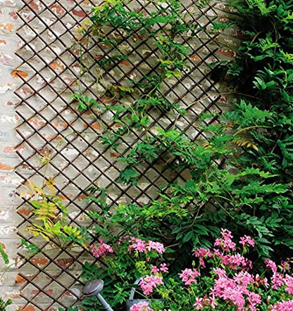 Expandable Willow Lattice Fence Panel Plant Support Garden Trellis for Climbing Vine Ivy Rose Cucumbers Clematis Outdoors Garden Yard, 36X92 Inch(1PC)