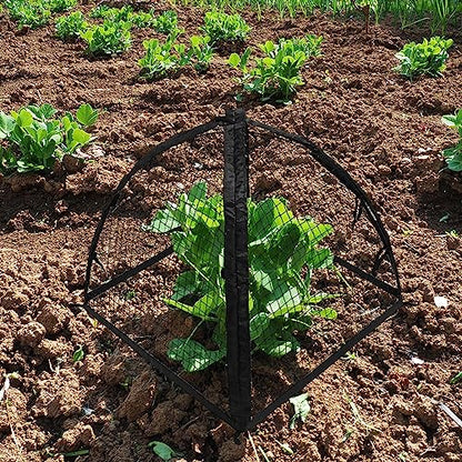 Strawberry Plant Protector,22 x22 x 22 Inch Cloche Dome for Plants