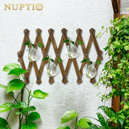 NUPTIO Glass Wall Hanging Planters: Propagation Station for Plants, 4 Pcs - size: 4 Pcs