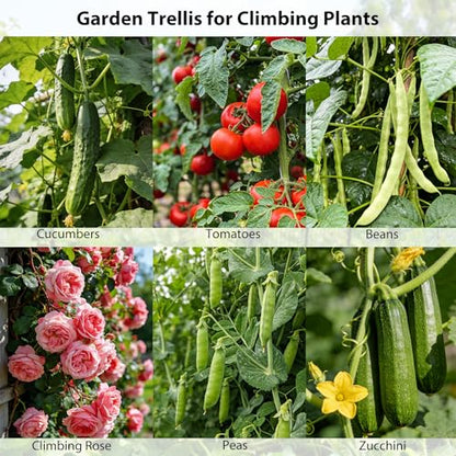 Miory Cucumber Trellis, 32"x48" 2 Pack A-Frame Trellis for Raised Bed, Garden Trellis for Climbing Plants Outdoor, Plant Support for Vegetables Vines - size: 32"Lx48"H 2pcs