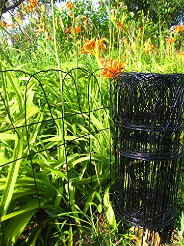 14 inch(H) x 20 feet(L) Black Garden Border Edging Folding Fence Roll Scroll Top Rolled Yard Fencing Garden Fence, Metal Wire Garden Fence for Outdoor,Yard Landscape Patio,Flower Bed Edging - size: 14"x20' Black 1pack