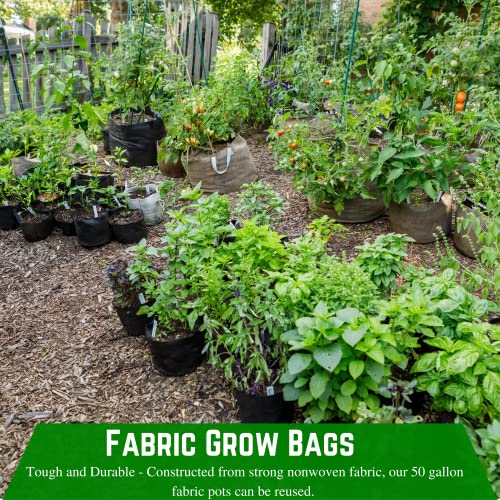 Farm Plastic Supply - 200 Gallon Fabric Grow Bags - (1 Pack) - Nonwoven Fabric Pots with Handles, Grow Bag, Plant Grow Bags, Garden Bag, for Farming, Gardening, Agriculture - size: 200 Gallon - 1 Pack
