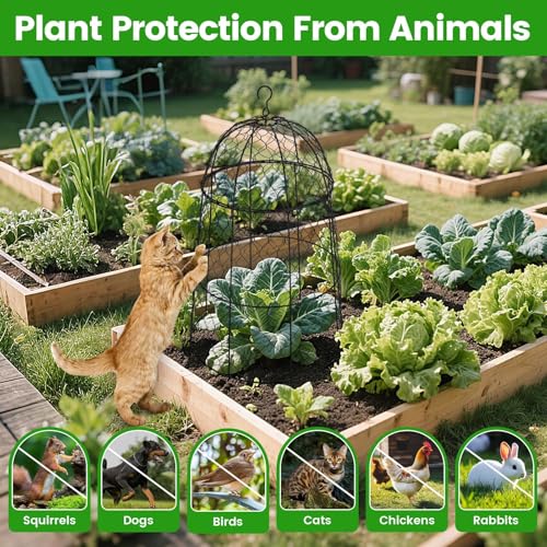 Plant Protector Chicken Wire Cloche 8 Psc, 20×12.6in Large Garden Plant Cage Protector, Split Design and Anti-Rust Coated Metal Plant Cover for Outdoor Plants, Wire Plant Protectors from Animals - size: Set of 8 (20 inch high)