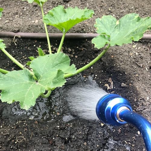 GREEN MOUNT Watering Wand, 24 Inches Sprayer Wand with Superior Stainless Head, Perfect for Hanging Baskets, Plants, Flowers, Shrubs, Garden and Lawn, Blue - color: Blue