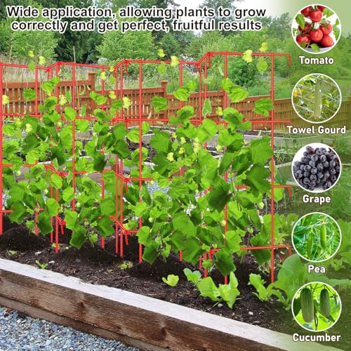 Blulu Sturdy Expandable Tall Pea Trellis Panel Folding Garden Trellis for Climbing Plants 9' x 39" H Multi Use Heavy Duty Outdoor Garden Peas Tomato Cucumber Steel Plant Support Red W/ 8" Grids