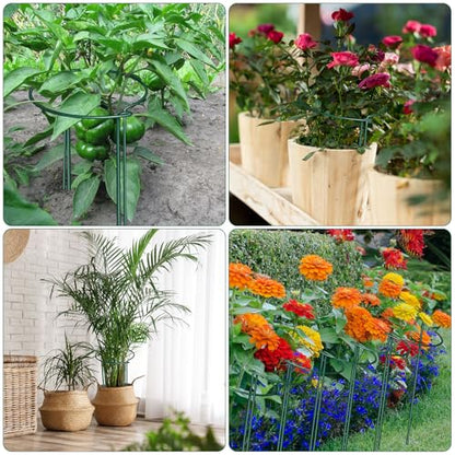 DoubleFill 24 Pcs Peony Cages and Supports Snake Plant Support Stakes