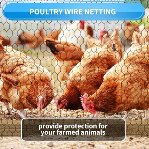 1/2 Inch Black Wire Mesh Roll - 36'' x 100' Chicken Wire Fence, 20 Gauge Hardware Cloth Poultry Netting for Garden/Animal Barrier/Rabbit/Floral/Chicken Coop/DIY Projects - size: 20 Gauge-1/2 Inch-36'' x100'