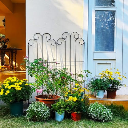 2 Pack Black Iron Garden Trellis 45” x 15.9” for Climbing Plants - color: 45" H-2 pack