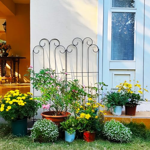 2 Pack Black Iron Garden Trellis 45” x 15.9” for Climbing Plants - color: 45" H-2 pack