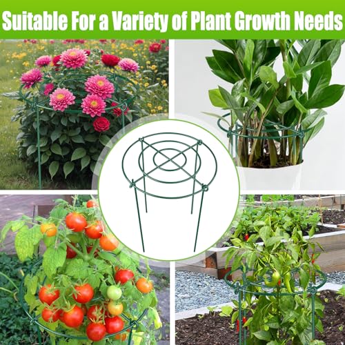 8 Pack Peony Cages and Supports, 11.5" Dx16 H Metal Plant Supports - size: 11.5" Wx16" H-8 Pack