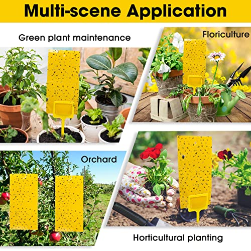 Qualirey 220 Pcs 7.9 x 4 Inch Yellow Sticky Traps for Plant Gnats Dual Sided Fruit Fly Sticky Traps for Indoors Outdoors with Twist Ties & Plastic Holders for Insect, Fungus Gnats, Whiteflies, Aphids - size: 7.9 x 4 Inch