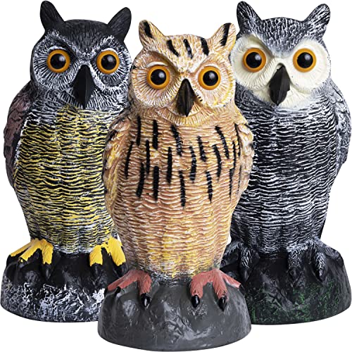 Owl Decoys to Scare Birds Away Plastic Owls Statue for Garden & Outdoors, 3 - style: Cottage