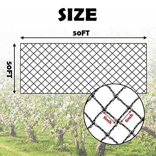 Bird Netting 50x50 Ft, 1In Mesh Garden Bird Netting, Fruit Tree Netting - size: 50x50ft-1in mesh