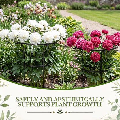 2 Pack Large Peony Cages and Supports, 26" H x 20" D Grow Through Plant Support Rings, Plastic Rings with Stainless Steel Stakes for Peonies, Roses Tomato Hydrangea Strawberry