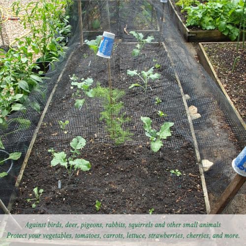 Bird Netting 6.5x13FT, 3/4"Mesh Garden Netting for Plant Protection - size: 6.5X13 FT
