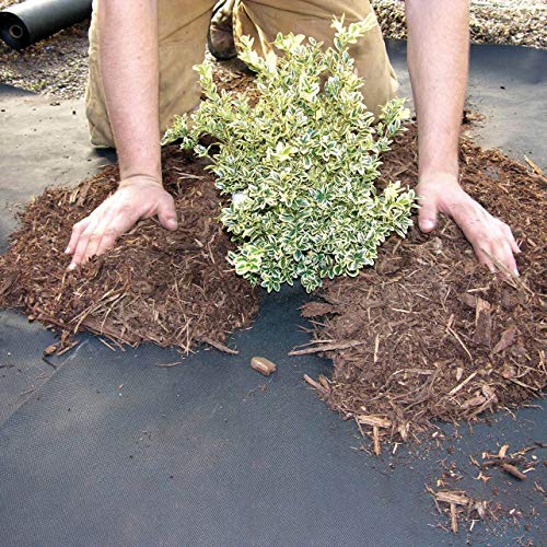 DeWitt Weed-Barrier Pro 3 oz Landscape Fabric, Black, 4 x 300 Feet – Heavy-Duty Weed Control and Ground Cover for Gardens, Beds, Mulch, Outdoor Landscaping, and Yard Areas