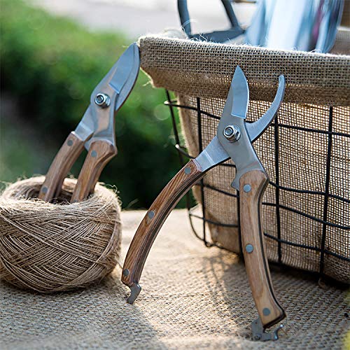 BUGUI 8” Wood Handle Garden Scissors, Set of 2, Includes Bypass Pruning Shears and Long Straight Tip Clippers, Premium Gardening Tools with Precision-Ground SK-5 Steel Blade - style: 8"WoodHandleShearsSet(E023)