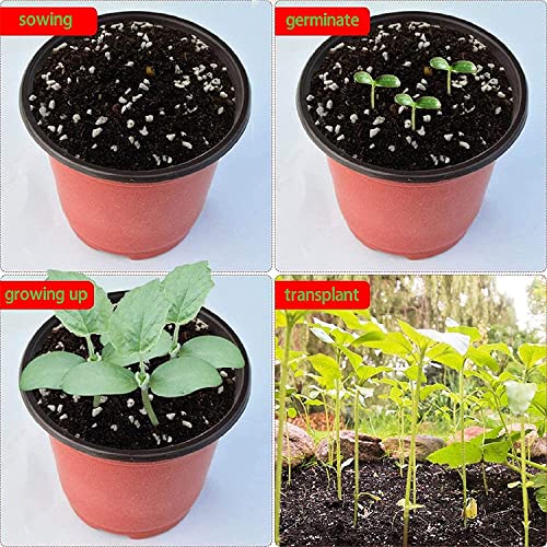 Plastic Planter Nursery Seedlings Pots - 5 Inches 100Pcs Flower Plant Container Seed Starting Pot for Outdoor Succulents Seedlings Cuttings Transplanting - size: 5 x 5 x 4 in