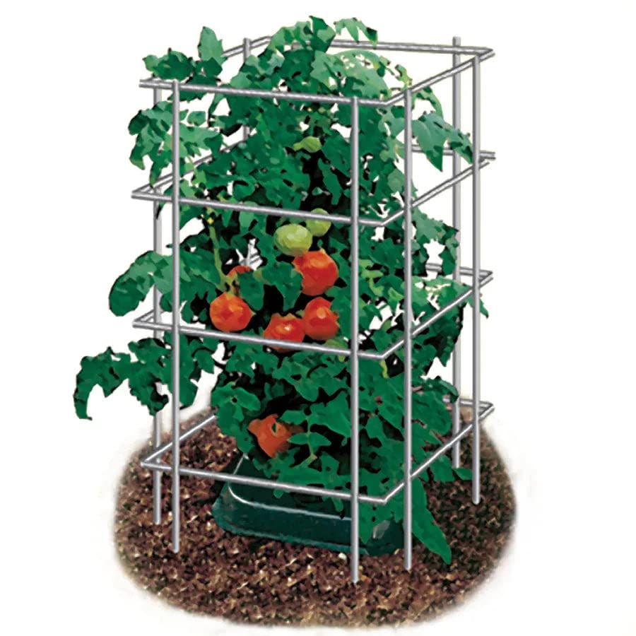 Park Seed Tomato Cages – 39" Tall Heavy-Duty Plant Supports for Tomatoes, Peppers, Cucumbers, and Climbing Vegetables, Foldable Metal Garden Trellis, Pack of 3 - size: 39" (3 Pack)