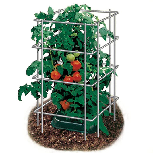 Park Seed Tomato Cages – 39" Tall Heavy-Duty Plant Supports for Tomatoes, Peppers, Cucumbers, and Climbing Vegetables, Foldable Metal Garden Trellis, Pack of 3 - size: 39" (3 Pack)