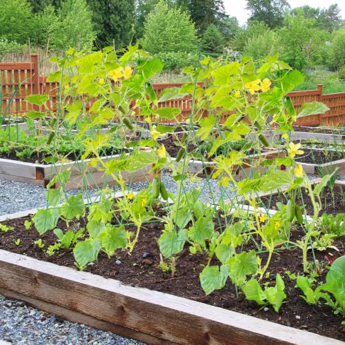 Cucumber Trellis 2 Pack,Foldable A-Frame Garden Trellis - color: Grass Green, size: 39.4" H