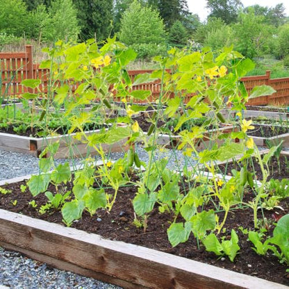 Cucumber Trellis 2 Pack,Foldable A-Frame Garden Trellis - color: Grass Green, size: 39.4" H
