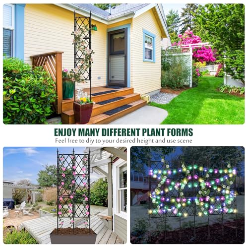 WellSign Garden Trellis for Climbing Plants Outdoor 63 Inch Iron Pipe - color: Black