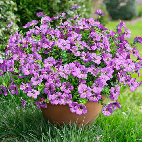 Daisy Artificial Flowers for Outdoors Decor, 12 Bundles Faux Daisy with Eucalyptus Fake Plants Greenery UV Resistant Look Real Colorful Faux Flowers for Outside Planter Porch Patio Yard Garden, Purple - color: Purple