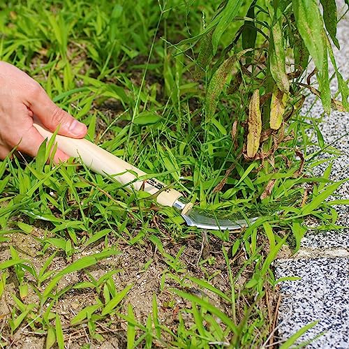 KAKURI Japanese Harvesting Sickle Garden Tool 4.7" [Triple Edged Blade] Made in Japan, Garden Harvest Sickle for Soft Vegetables, Razor Sharp Japanese Stainless Steel Blade - color: Harvesting (Natural)