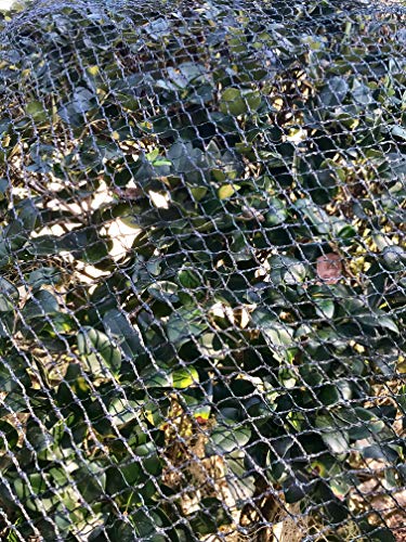 Bluefire Direct Commercial Grade Heavy Duty Polyethylene Anti Bird Netting for Garden Blueberries Fruit Trees Poultry Cage Pond Net Reusable Does not Tangle Snag or Rot (20 ft x 33 ft)