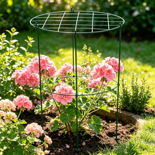 Green Steel Peony Grow‑Thru Grid, 14in Outdoor Plant Support Ring