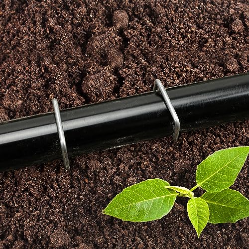 CEWOR 500 Pack 6 Inch Landscape Staples 11 Gauge Garden Stakes - size: 6 Inch-500 Pack