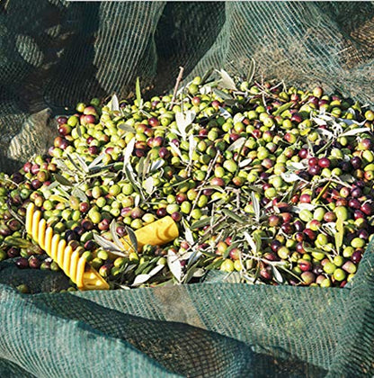 Ez4garden Fruits Harvest Collecting Netting Walnut Olive Chestnut Plum Hazelnut Picking Collector Net,Size:L26.2'xW19.6'(8x6m) - size: L26.2'xW19.6'(8x6m)