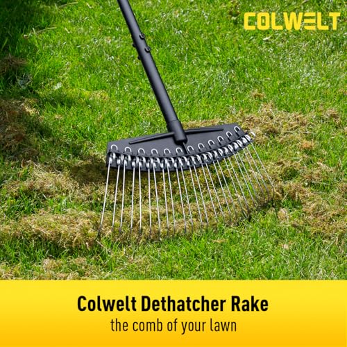 Colwelt Thatch Rake, Dethatcher Rake with Thin, Curved Spring Steel Tines, Dethatching Thatching Rake for Lawns with 61’’ Steel Handle, Lawn Tine Rakes for Pine Needles, Dead Grass, Garden Debris