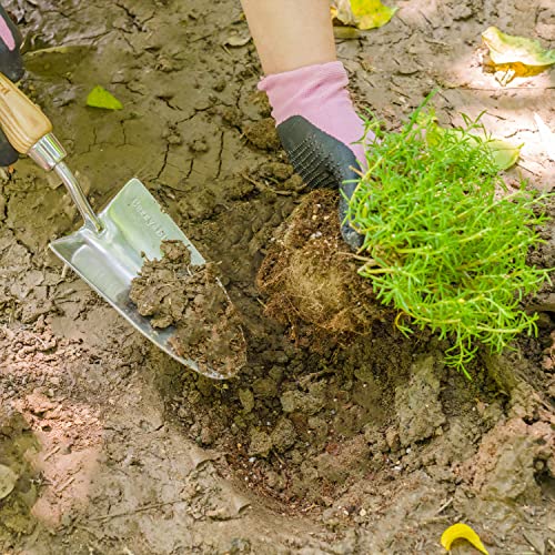 Berry&Bird Stainless Steel Trowel, Garden Small Flower Hand Shovel, Potting Soils Scoop with Wood Handle, Gardening Bonsai Tools for Transplanting Digging Weeding Planting - color: Hand Shovel, size: Small