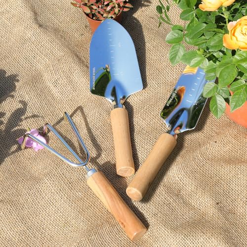 Garden Tool Set, 3 Pieces Gardening Kit with Garden Plant Twist Tie and Plastic Plant Tag, Stainless Steel Heavy Duty Garden Tools with Wooden Handle, Gardening Gifts for Women - style: 3PC(Trowel&Transplanter&Cultivator)