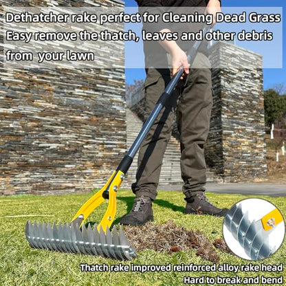 Thatch Rake, Dethatcher Rake for Grass to Cleaning Dead Grass