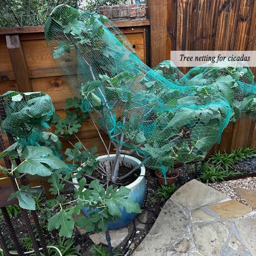 Bird Netting for Garden 6.5 x 100 FT, 1/4 Inch Mesh - size: 6.5×100FT,1/4 In Mesh