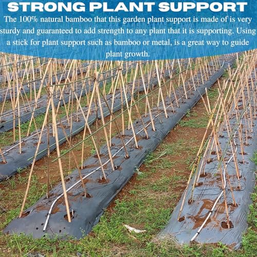 VBS - Bamboo Garden Stakes - Bambo Sticks, Bamboo Plant Stakes for Outdoor Plants, Plant Support Stakes for Indoor Plants (7 Foot - 25 Pack) - size: 7 Foot - 25 Pack