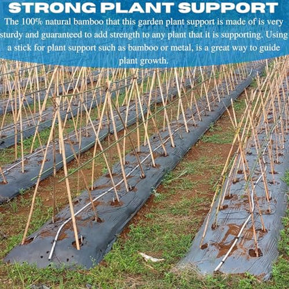 VBS - Bamboo Garden Stakes - Bambo Sticks, Bamboo Plant Stakes for Outdoor Plants, Plant Support Stakes for Indoor Plants (7 Foot - 150 Pack) - size: 7 Foot - 150 Pack