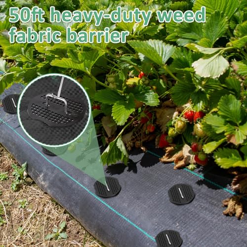 PAMASE Landscape Weed Barrier Fabric - 20pcs Tear-Proof Gaskets, 20pcs Garden Stakes, Pick Hook, 3.2oz Heavy Duty Outdoor Ground Cover Weed Cloth Control - 3 x 50ft - size: 3 x 50ft