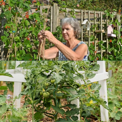 YDSL 100 Feet Soft Tie for Plants, 3 Pack Green Twist Garden Ties Gardening Supplies for Supporting Climbing Plants, Tomatoes, Vegetables, (Diameter - 2.5MM) - size: 300feet