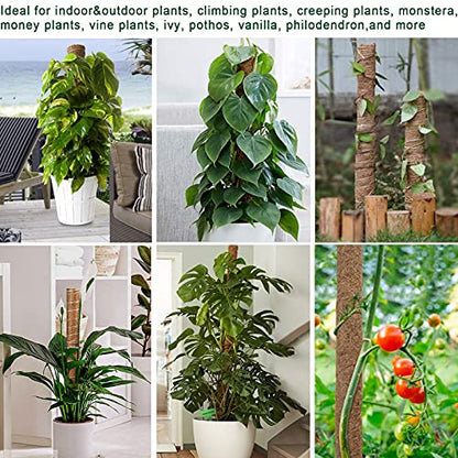 Fabulas Moss Pole Monstera Plant Support, Extended to 48 Inch, 4 Pack 16 in - size: totem pole 16"x4pcs