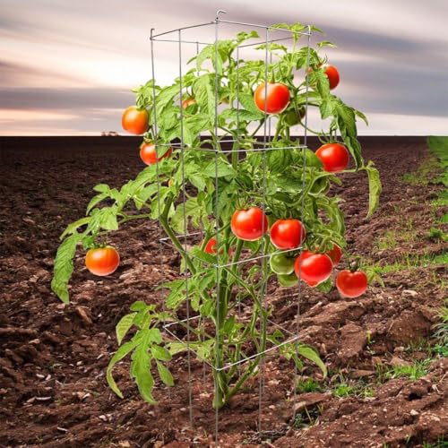 46" Height 12" Width 5PCS Galvanized Square Folding Tomato Cage,Plant Support Stake Tower - size: 12*46inch Sq-Galvanized-5Pack