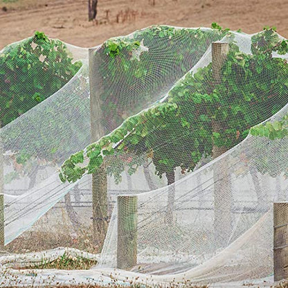 PURPLE STAR 1N 6 x 7 Feet Insect Bird Barrier Netting Mesh with Drawstring, Garden Bug Netting Plant Cover for Protect Plant Fruits Flower from Insect Bird Eating - color: 6x7 Ft